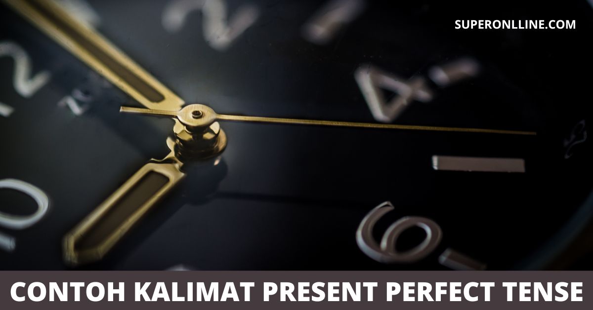 Contoh Kalimat Present Perfect Tense