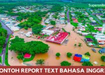 Contoh Report Text Singkat Dalam Bahasa Inggris